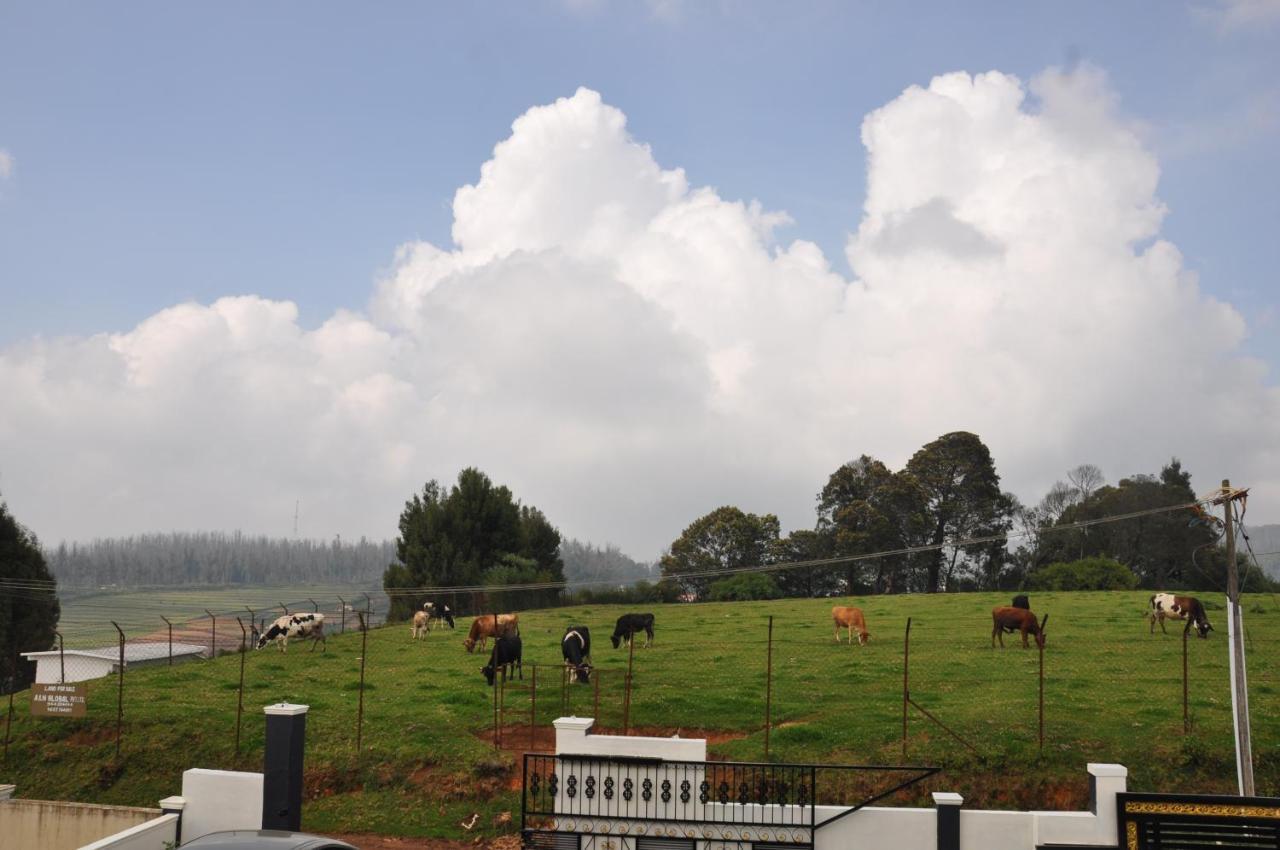 Teyt Castle Villa Ooty Luaran gambar